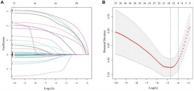 Development and validation of a predictive nomogram for subsequent contralateral hip fracture in elderly patients within 2 years after hip fracture surgery